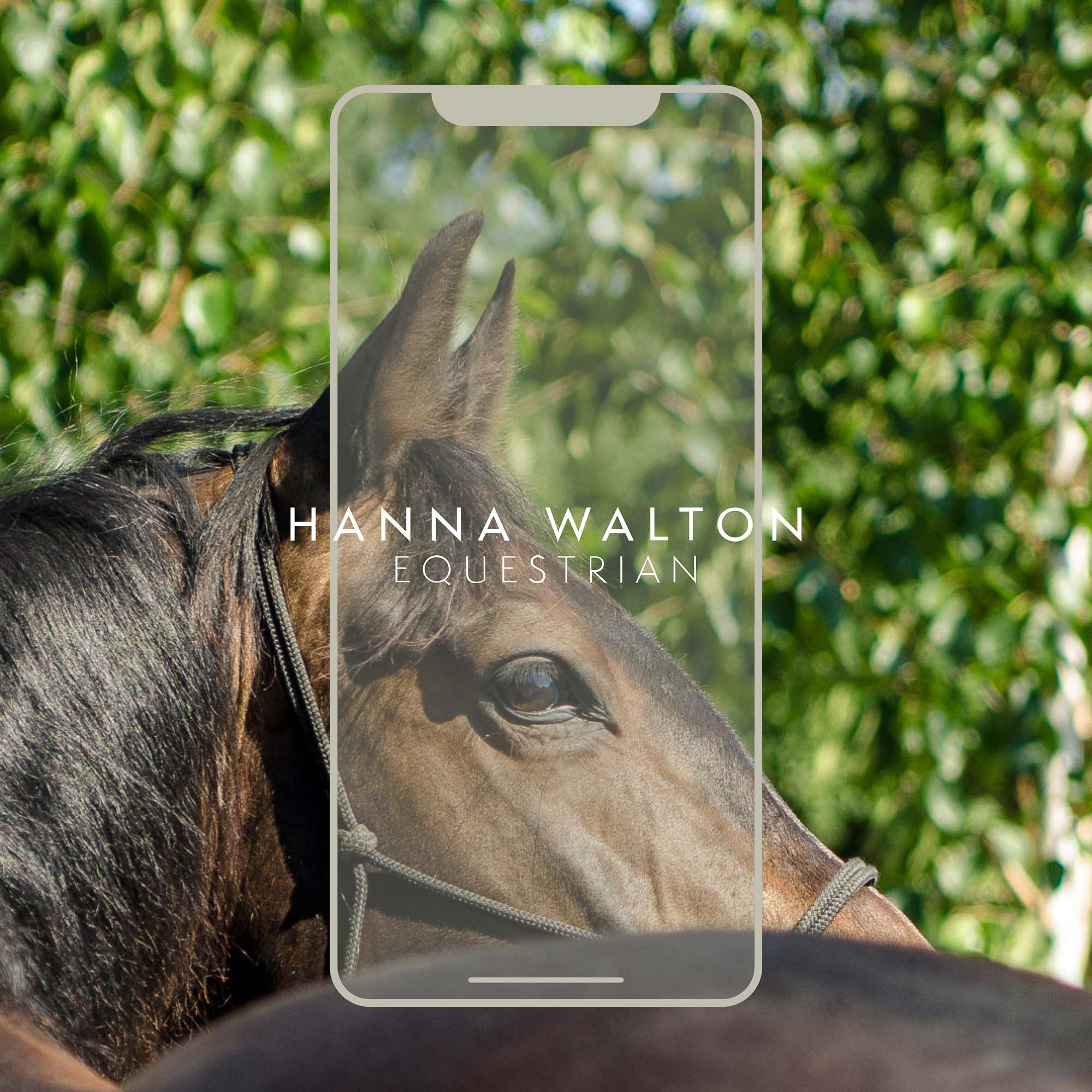 Hanna Walton Equestrian