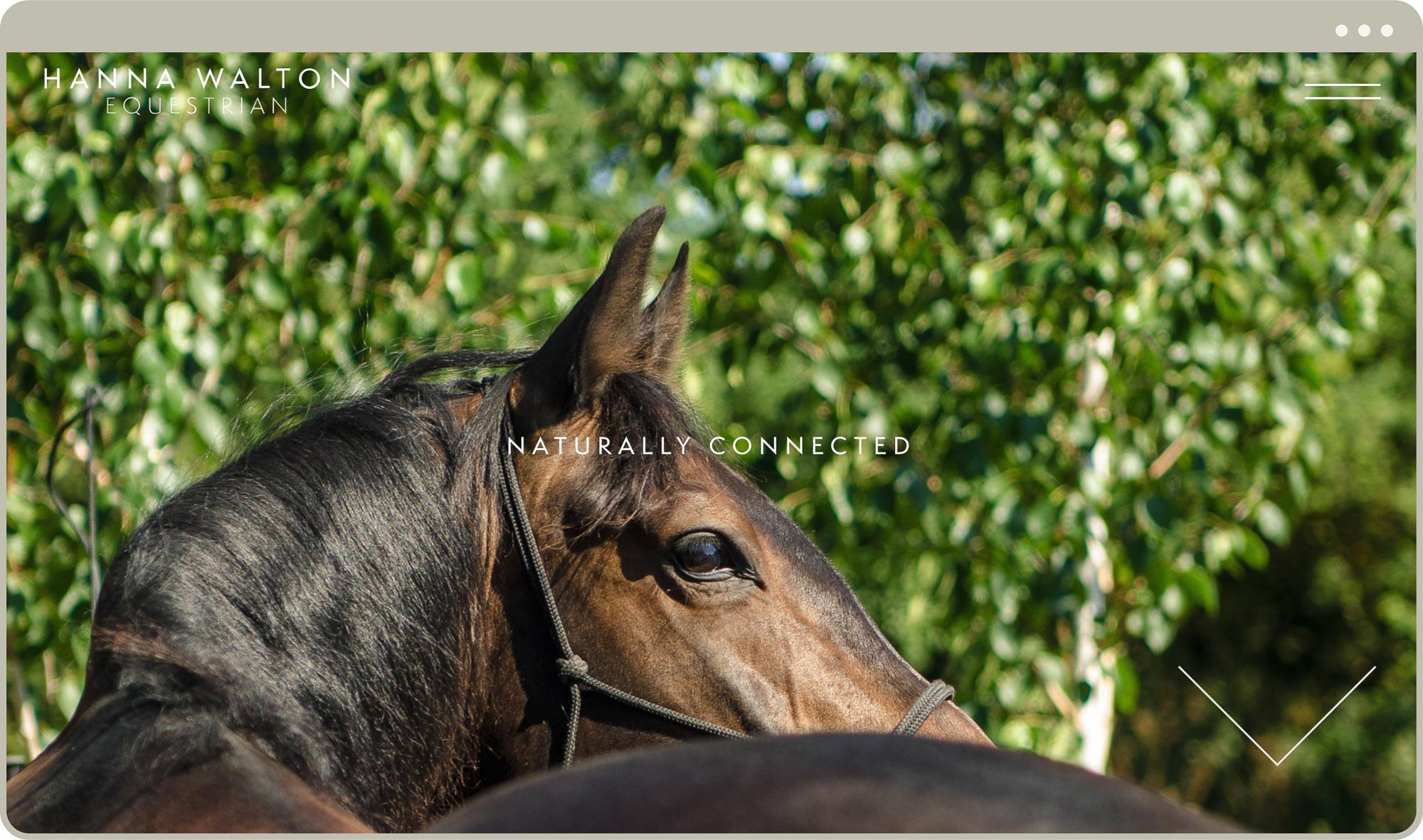 Hanna Walton Equestrian