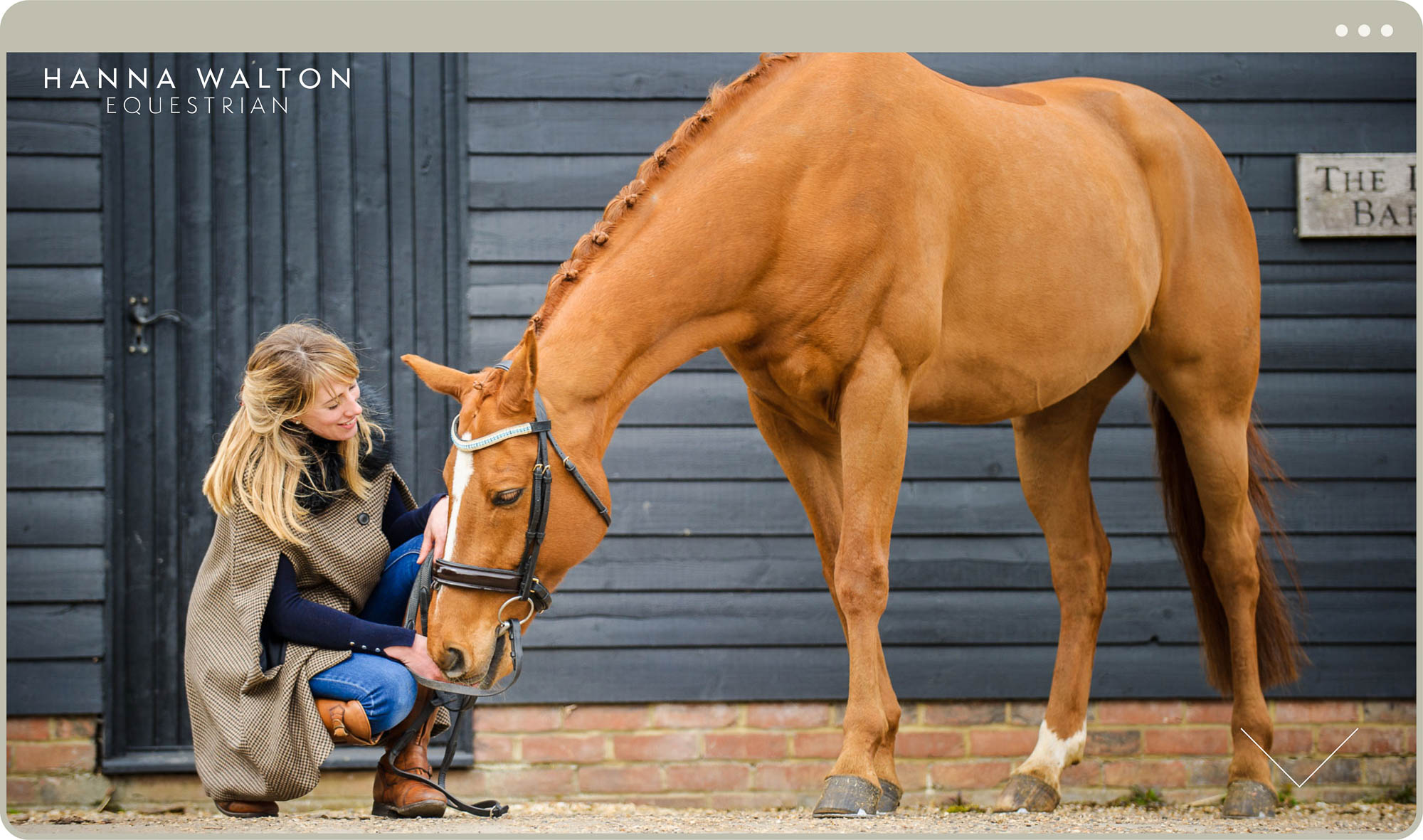 Hanna Walton Equestrian